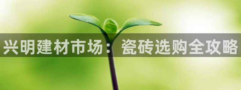 杏鑫娱乐官网下载