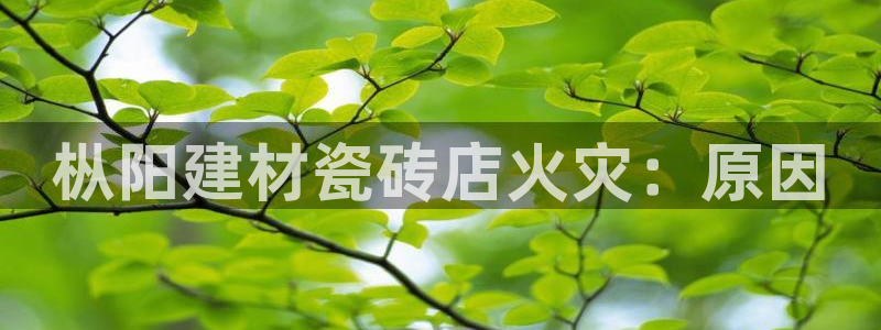 杏鑫平台怎么样知乎