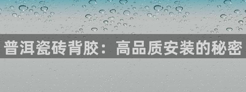 杏鑫平台平台娱乐