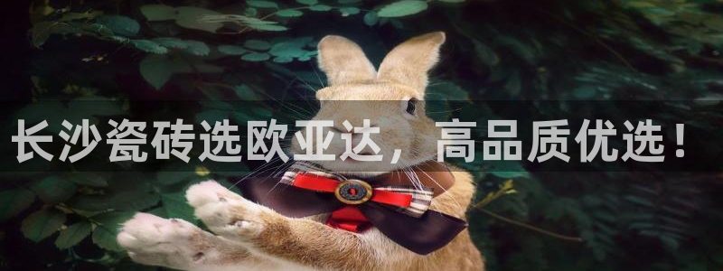 杏鑫注册登录代理公司