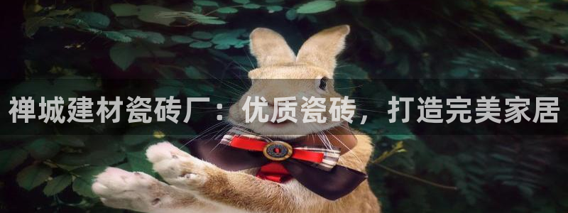 杏鑫有亏损返点吗