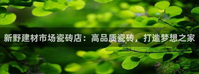 杏鑫平台代理怎么样