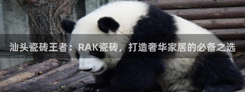 杏鑫娱乐官方网站客户端