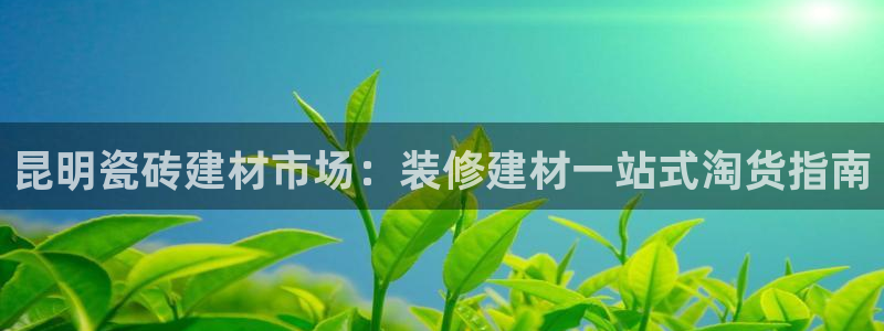 杏鑫平台代理注册流程