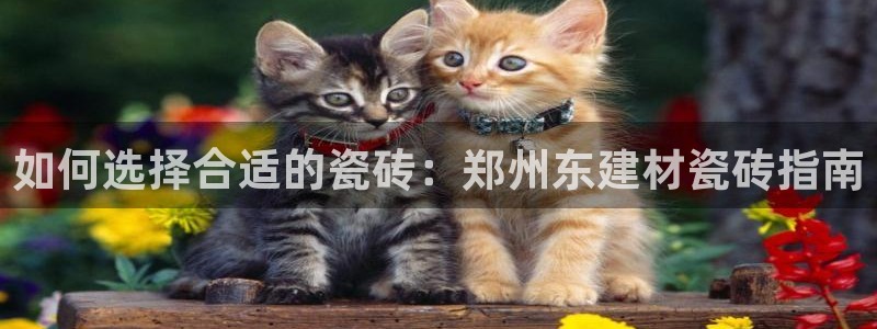 杏鑫注册登录地址