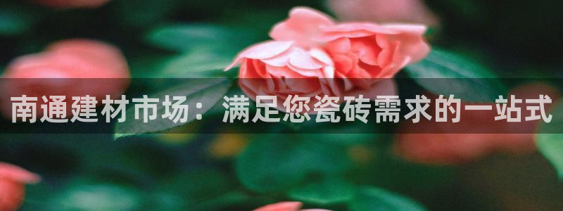 杏鑫平台代理怎么做赚钱