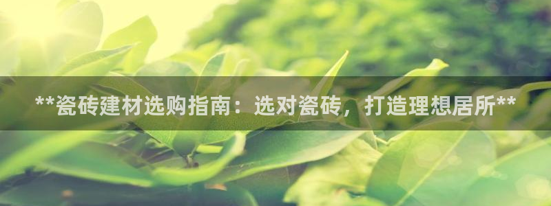 杏鑫测速注册