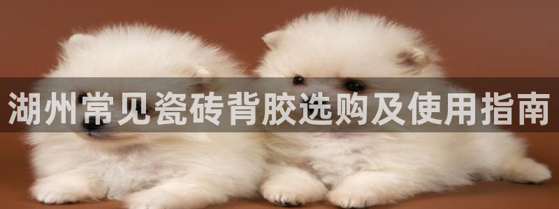 杏鑫娱乐官方网站客户端登录