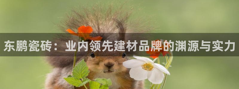 杏鑫注册地址