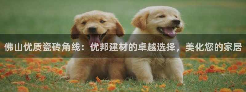 杏鑫登录注册测速