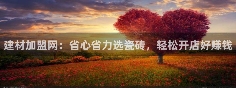 杏鑫平台招商电话