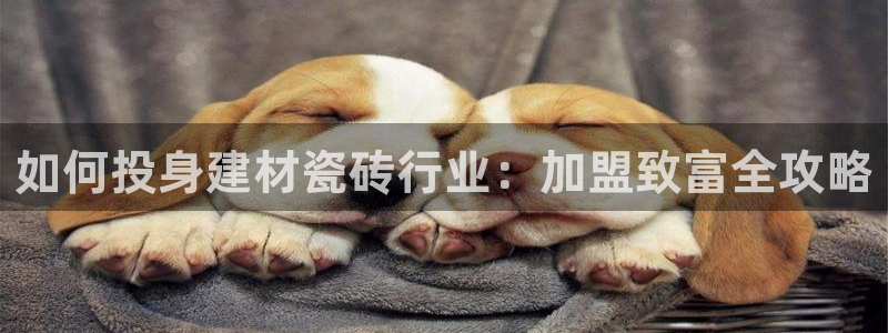 杏鑫代理注册资金多少