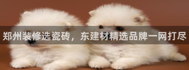 杏鑫注册