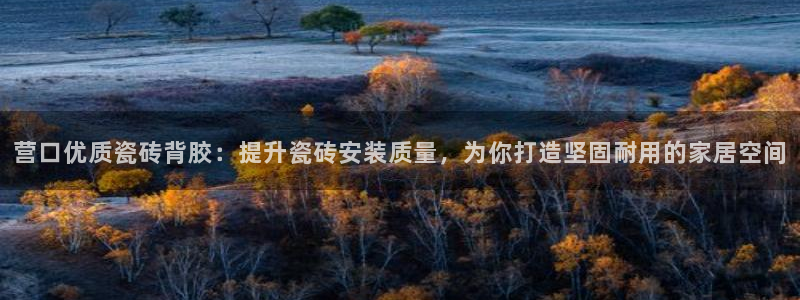 杏鑫平台平台