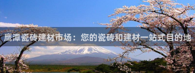 杏鑫平台注册网址