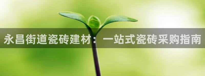 杏鑫注册登录代理