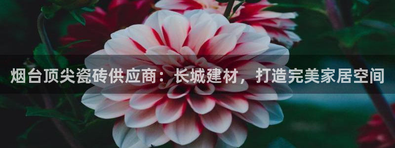 杏鑫注册登录代理公司