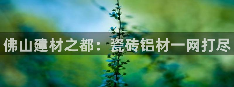 杏鑫注册登录