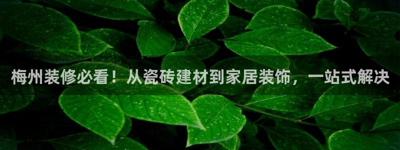 杏鑫平台招商电话是多少
