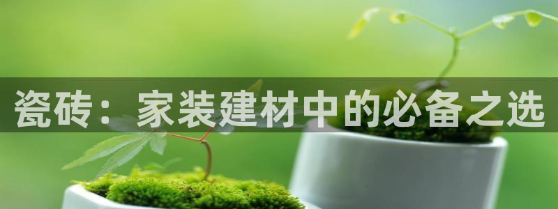 杏鑫平台代理注册要钱吗