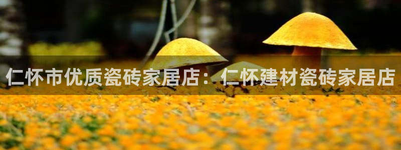 杏鑫平台招商电话