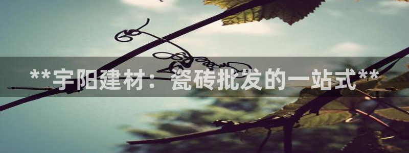 杏鑫平台注册地址