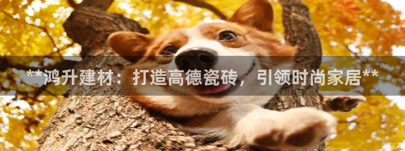 杏鑫平台招商电话号码