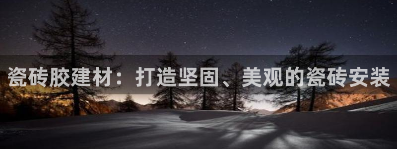 杏鑫娱乐开发团队