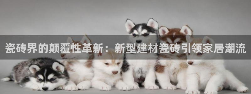 杏鑫平台平台娱乐怎么样