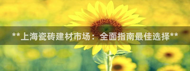 杏鑫平台招商怎么样