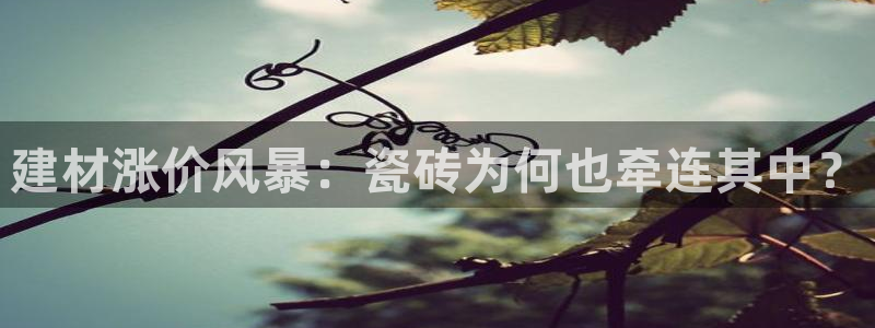 杏鑫平台直属哪个公司