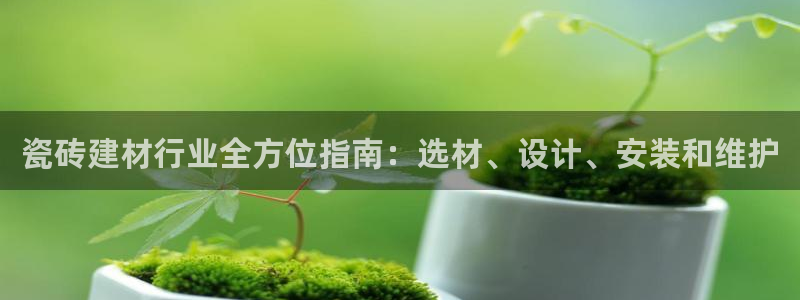 杏鑫官网最新信息