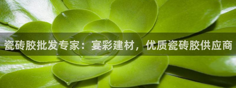 杏鑫平台招商电话号码查询