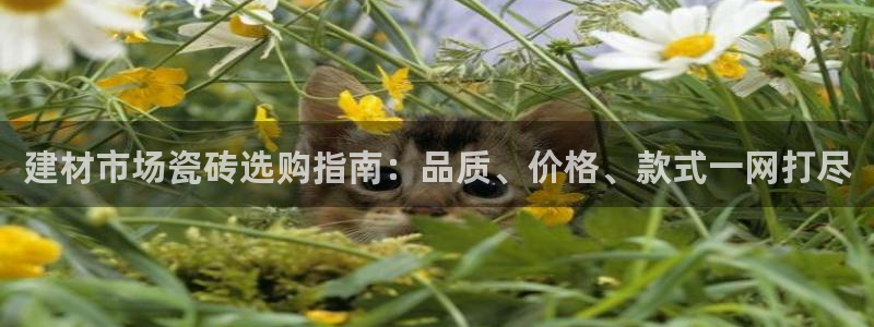 杏鑫平台招商电话号码