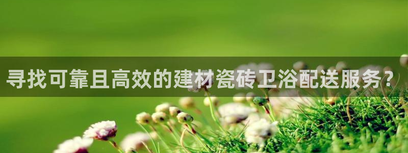 杏鑫3主管