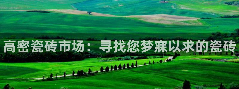 杏鑫平台是黑平台吗