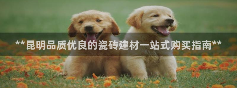杏鑫手机客户端