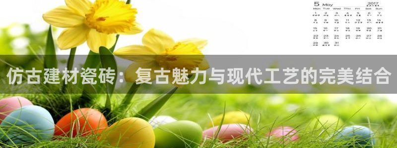 杏鑫官网最新信息新闻