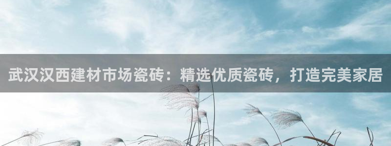 杏鑫官网注册账号怎么注册不了