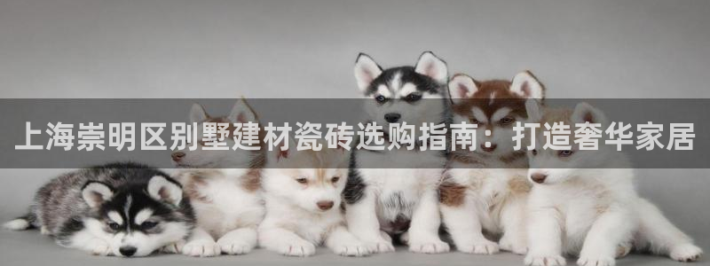 杏鑫平台代理怎么样啊