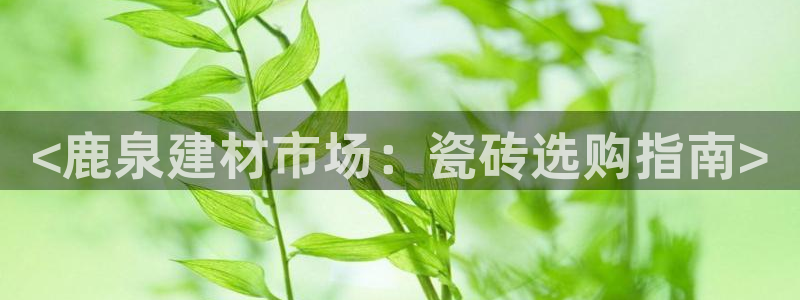 杏鑫官网注册账号是什么