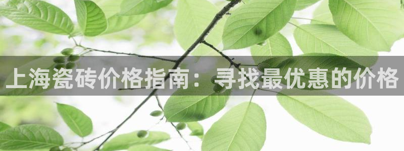 杏鑫平台平台娱乐