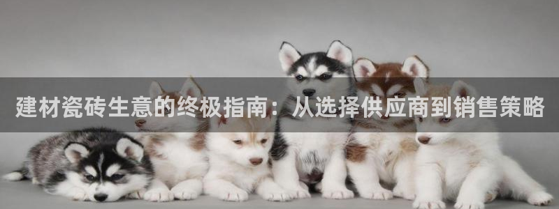 杏鑫平台登陆