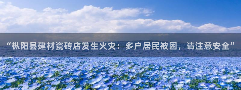 杏鑫官方平台怎么样啊知乎
