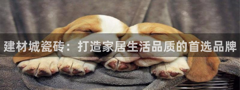 杏鑫平台是黑平台吗知乎