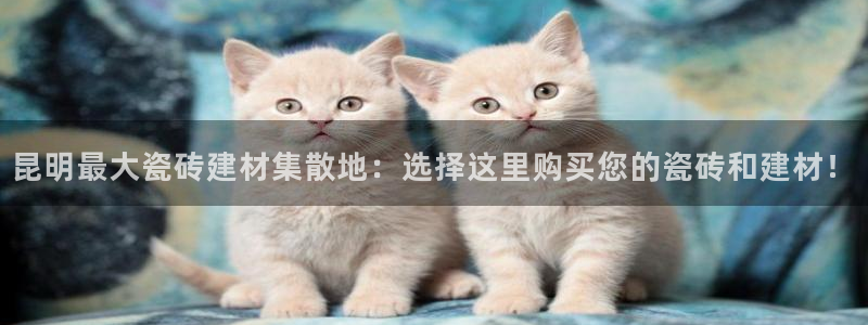 杏鑫平台代理怎么做赚钱