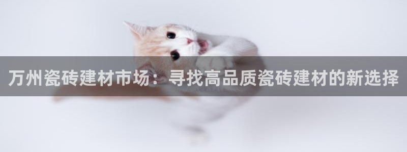 杏鑫官网最新信息新闻报道