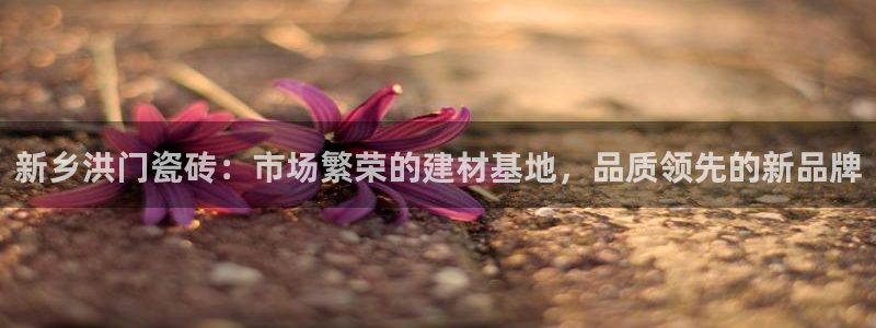 杏鑫平台是黑平台吗是真的吗
