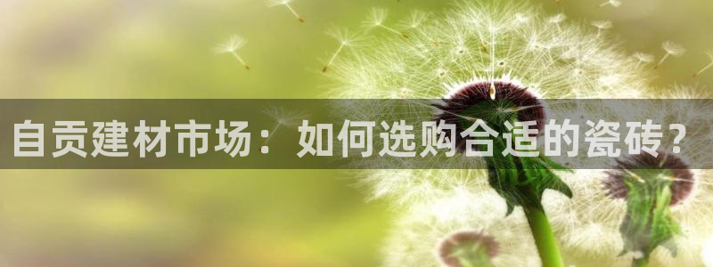 杏鑫官方平台怎么样啊