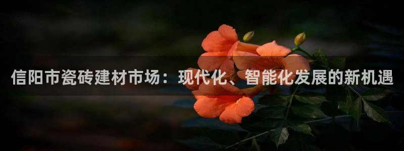 杏鑫官网最新信息